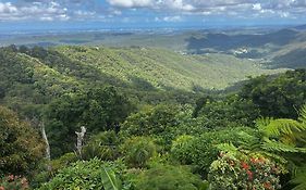 Green Cauldron, Homestay, Tamborine Mountain, Private Room, Ensuite, Private Courtyard, Gold Coast Views